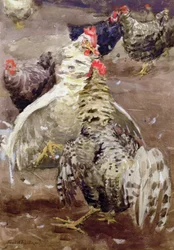 ルースターズ、1910（紙にトイレ）